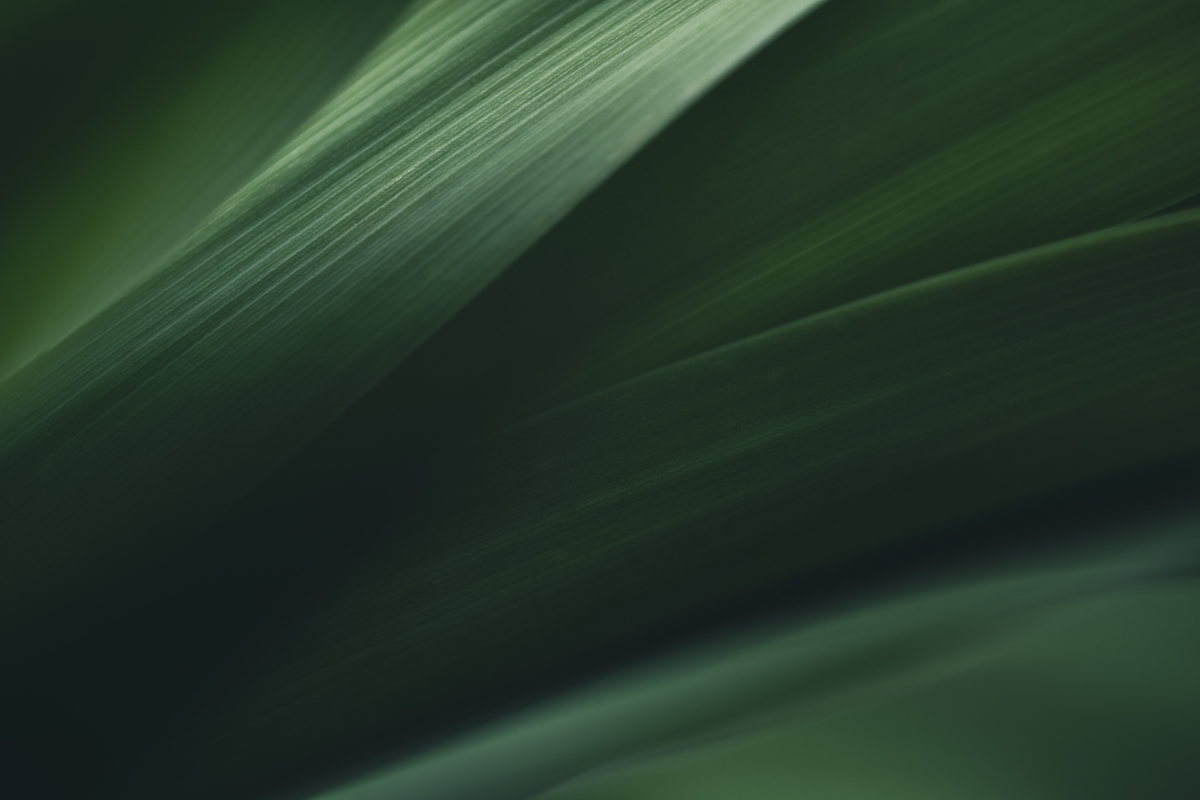 Sustainability